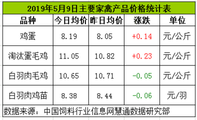 雞蛋、淘雞繼續(xù)偏強 白羽肉雞、肉雞苗高位震蕩