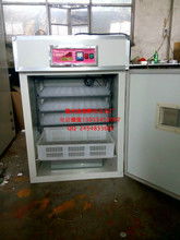 小型家禽孵化機 從圖片看功能，掌握孵化要訣